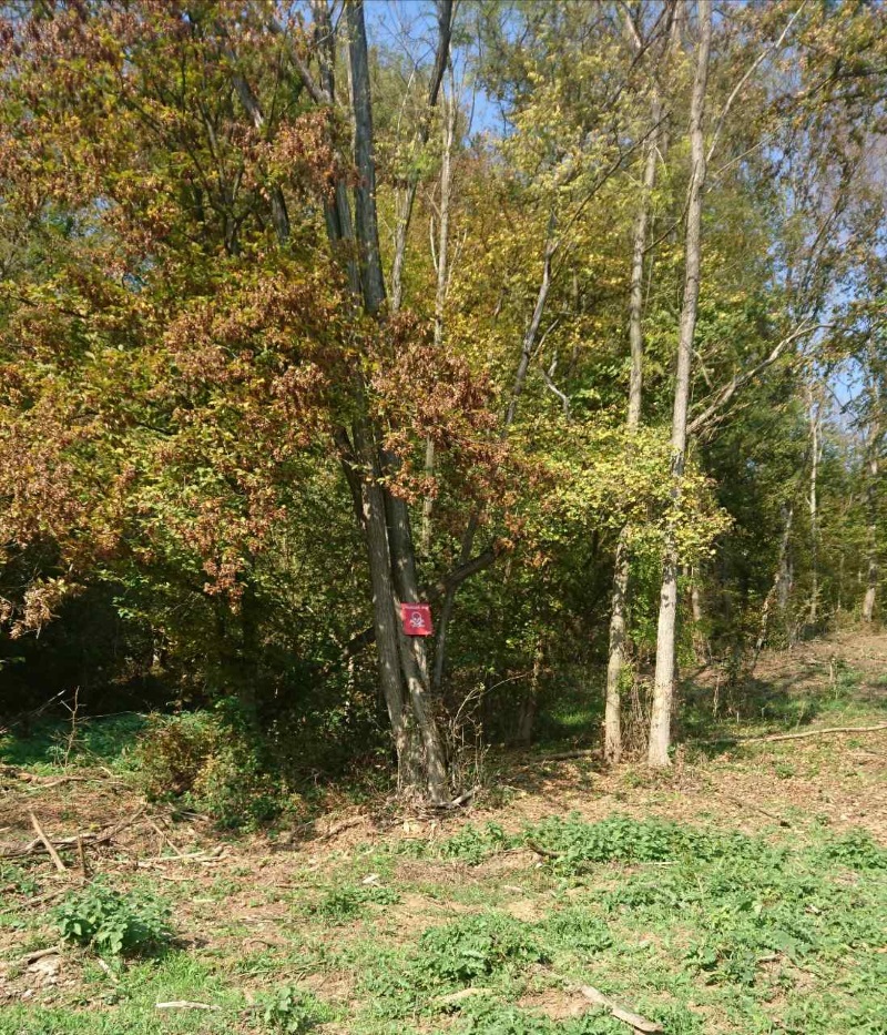Slika /slike-vijesti/2018. godina/droga1.jpg